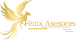FENIX ASESORES