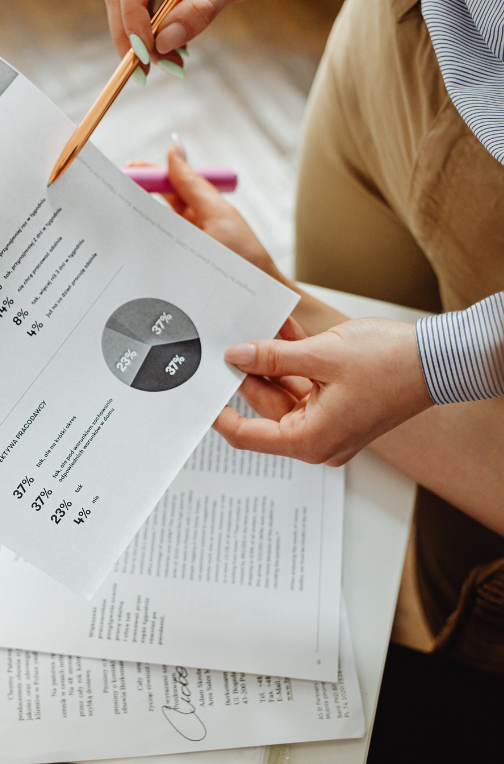 fenixes asesoria (2) fenixes asesoria (2)