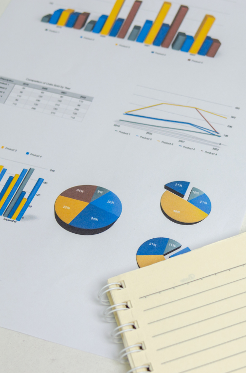 fenixes asesoria (3) fenixes asesoria (3)