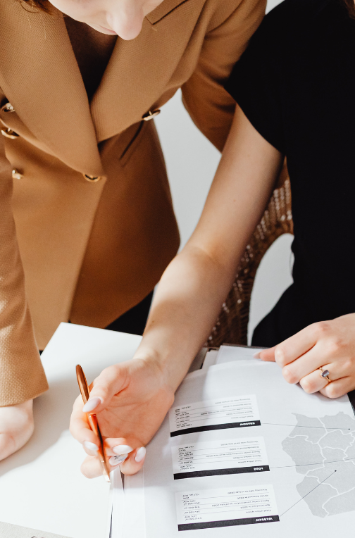 fenixes asesoria fenixes asesoria