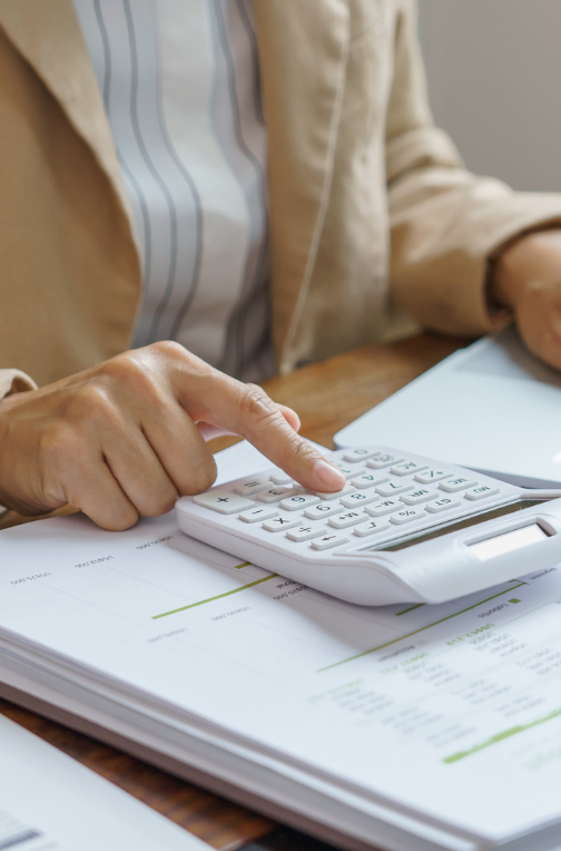 fenixes contabilidad fenixes contabilidad